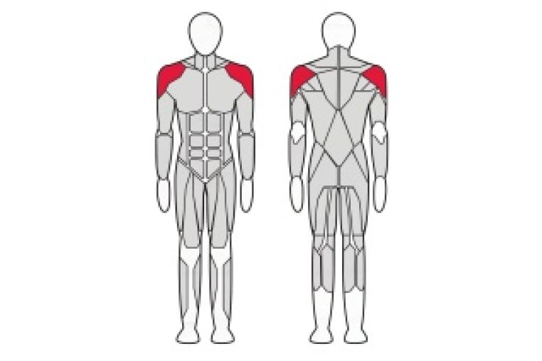 Жим вверх сидя Interatletik Gym BT127 фото 1