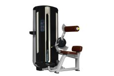 Разгибание спины Bronze Gym MNM-009