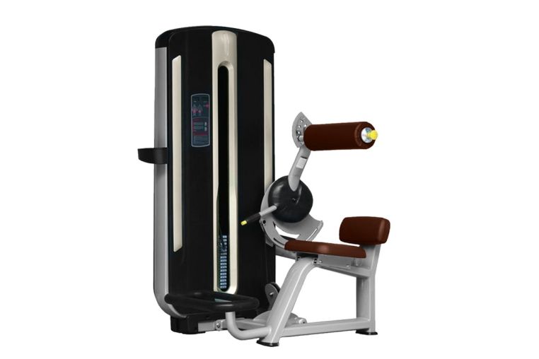 Разгибание спины Bronze Gym MNM-009 