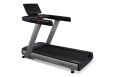 Беговая дорожка Bronze Gym T930M Pro фото 1