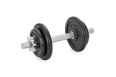 Гантель сборная Lite Weights 4542LW 10 кг фото 1