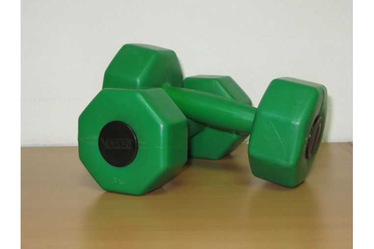 Гантели V-Sport 2х3кг (пара) СТ560.3 