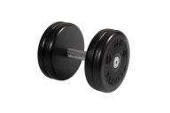 Гантель классик с вращающейся ручкой хром 25 кг MB Barbell MB-FdbEM-B25