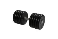 Гантель Профи с вращающающейся ручкой, 51 кг MB Barbell MB-FdbM-B51