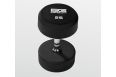 Гантель обрезиненная 25 кг Bronze Gym BG-PA-DB-R250 фото 2