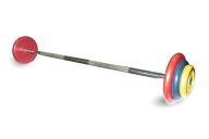 Штанга неразборная MB Barbell с цветными дисками D25мм, 20 кг MB-BarMW-C20