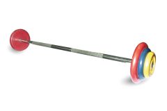 Штанга неразборная MB Barbell с цветными дисками, 25 мм, 47,5 кг MB-BarMW-C47,5