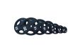 Диск обрезиненный Inex GMAX с 3 выступами, 2,5 кг GRP-N-2,5KG фото 1