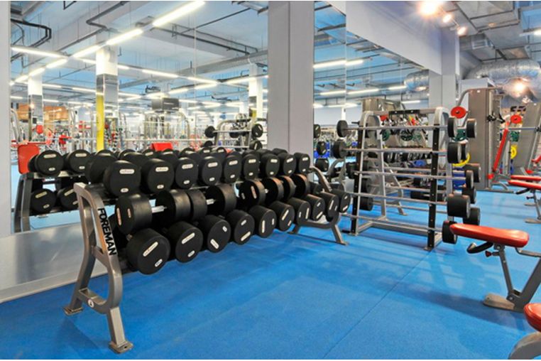 Гантели фиксированные обрезиненные 14 кг Foreman FFM\ARD-14KG\BK-FL-00 пара фото 5