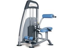 Разгибание спины сидя Vertex NWS 173
