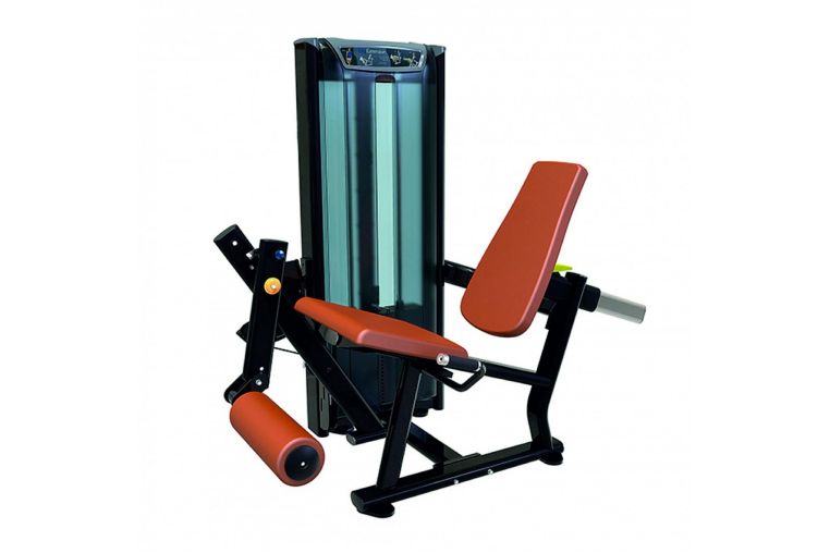 Разгибание ног UltraGym UG-FU 04 