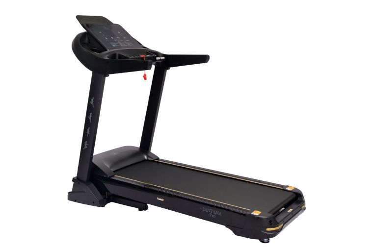 Беговая дорожка DFC SANTANA Pro T757 фото 1