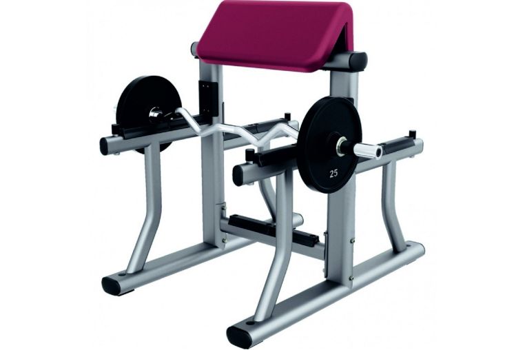 Скамья Скотта UltraGym UG-LS 931 