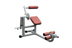 Тренажер для спины и пресса Aerofit IFABM