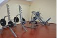 Стойка для приседа Aerofit IFSS фото 1