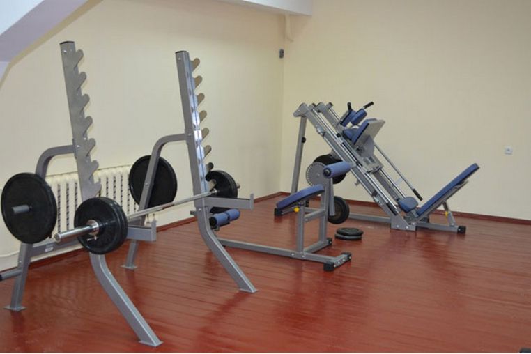 Стойка для приседа Aerofit IFSS фото 1