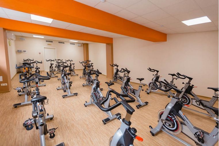 Сайкл Aerofit PS300E фото 7