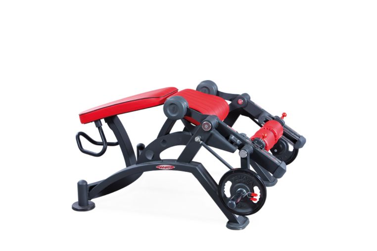 Сгибание ног лежа (независимые рычаги) Panatta 1HP582 