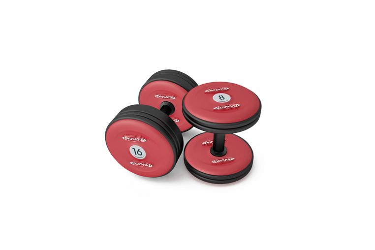 Гантель Panatta 14 кг 1MF14 