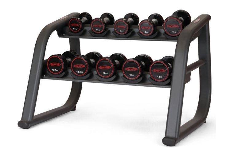 Набор уретановых гантелей 40-50 кг (5 пар) Panatta 1RDS6 