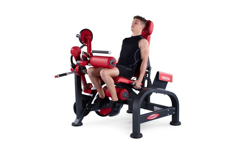 Сгибание ног сидя Panatta 1FW183 фото 2