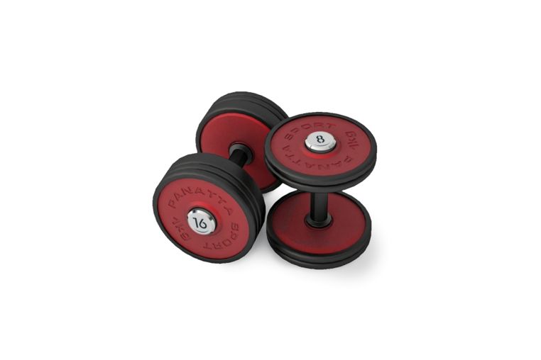 Гантель Panatta 12 кг 1MB12 