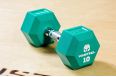 Гантель YouSteel PU 25 кг красная фото 1