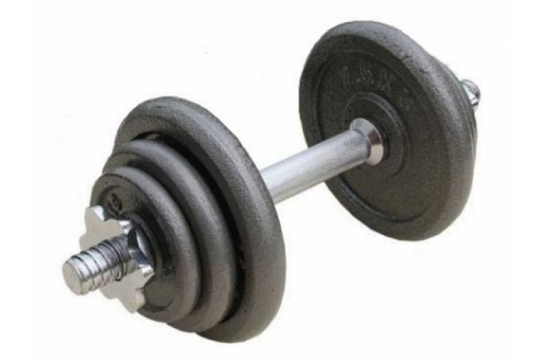 Гантель разборная MB Barbell металл, 52 кг 