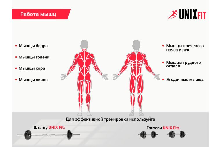 Скамья силовая со стойками UnixFit BENCH 120 BSBN120 фото 11