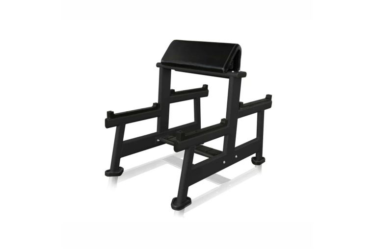 Скамья Скотта UltraGym UG-CL103 