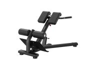 Гиперэкстензия (разгибание спины) Smith Fitness RE6010