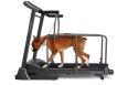 Беговая дорожка домашняя Oxygen Fitness Laguna II Dogie Edition фото 1