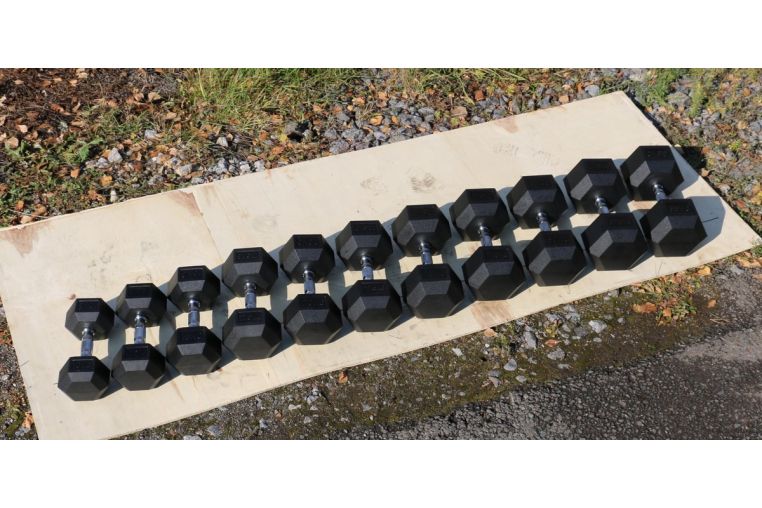 Гантель гексагональная обрезиненная Profi-Fit 60 кг фото 1