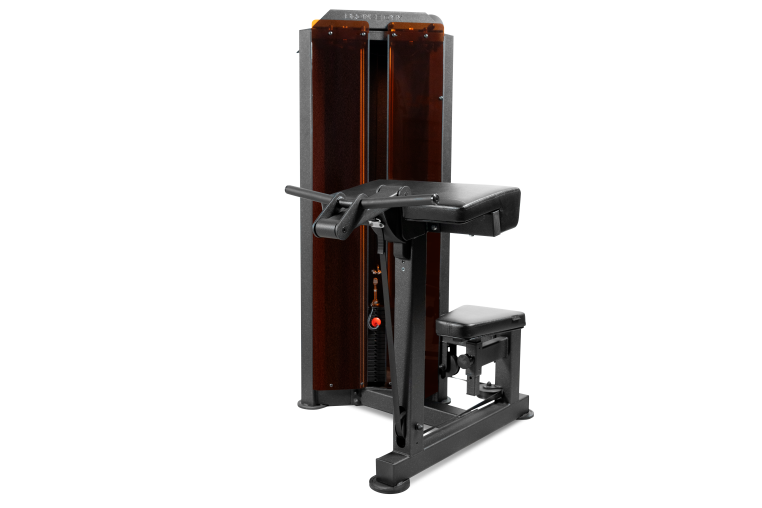 Бицепс машина профессиональный BRONZE GYM PARTNER ML-803 