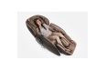 Домашнее массажное кресло Casada AlphaSonic 2 Cream Brown фото 1