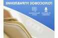 Массажное кресло Fujimo PEGASUS PRO F777 Коричневый фото 11