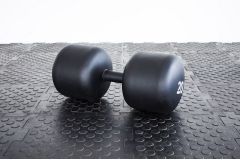Гантель Stecter Strong, 20 кг 2384