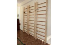Стенка шведская Стандарт 280х100 см Atlet IMP-A521