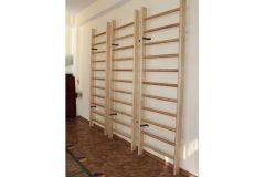 Стенка шведская Стандарт 280х100 см Atlet IMP-A521