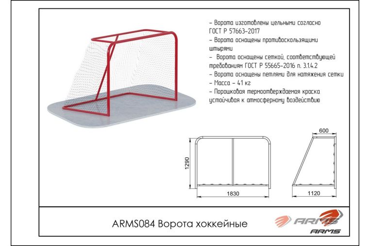 Ворота хоккейные ARMS ARMS084 фото 1