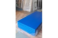 Мат гимнастический 1х2х0,1м, ППУ, иск. кожа Atlet IMP-A42