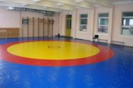 Ковер борцовский Atlet 12х12 м основа ППЭ (экв. ПВВ 200 кг/м3) толщина 4 см IMP-A465