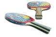 Ракетка для настольного тенниса Double Fish CK-106 фото 1