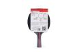 Ракетка для настольного тенниса Torres Sport 1* TT23005 фото 8