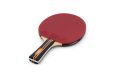 Ракетка для настольного тенниса Torres Master 3* TT23007 фото 1
