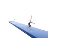 Дорожка акробатическая SPIETH Gymnastics Moscow 12х2 м, 10 элементов 1790764 фото 10