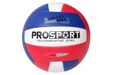 Мяч волейбольный Sportex E40006-1 р.5