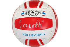 Мяч волейбольный Sportex E33541-3 р.5