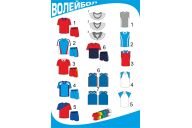 Форма волейбольная с длинными рукавами из импортного материала ФСИ 110566