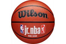 Мяч баскетбольный Wilson JR.NBA Fam Logo Indoor Outdoor WZ2009801XB7 р.7